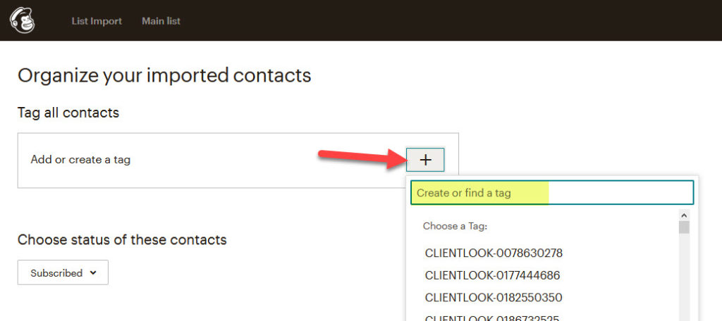 How-To-Import-Contacts-Into-MailChimp_6